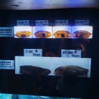 評論圖片 4