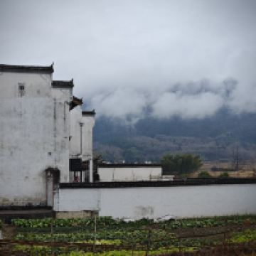 評論圖片 3