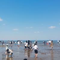 評論圖片 1