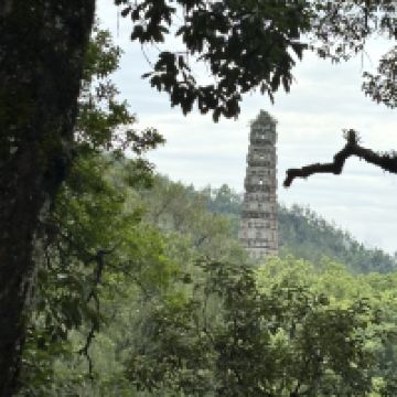 評論圖片 7