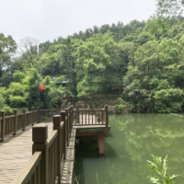 評論圖片 5