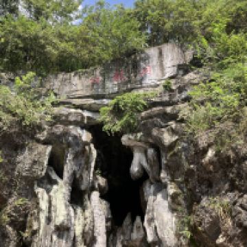評論圖片 7