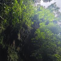 評論圖片 4