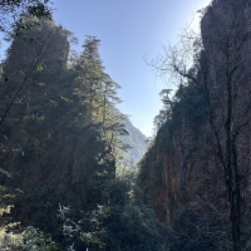 評論圖片 6