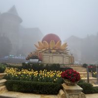 評論圖片 7