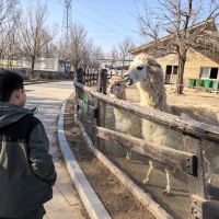 評論圖片 1