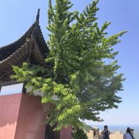 評論圖片 9