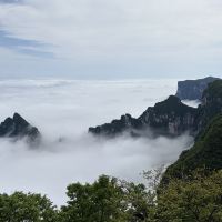 評論圖片 1