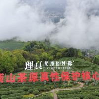 評論圖片 2