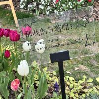 評論圖片 5