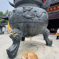 評論圖片 3