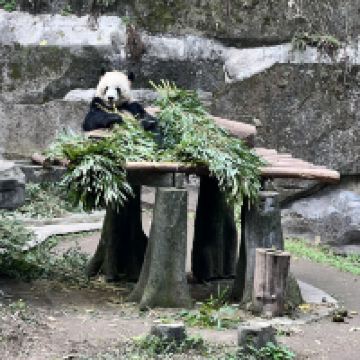 評論圖片 7