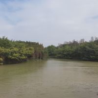 評論圖片 6
