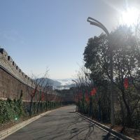 評論圖片 5