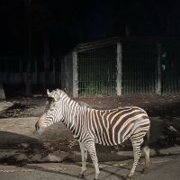 評論圖片 4