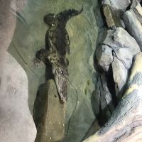 評論圖片 4