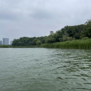 評論圖片 1
