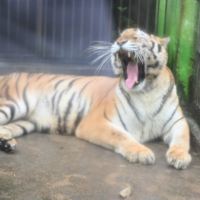 評論圖片 1