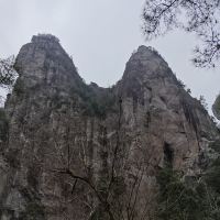 評論圖片 1