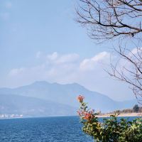 評論圖片 2