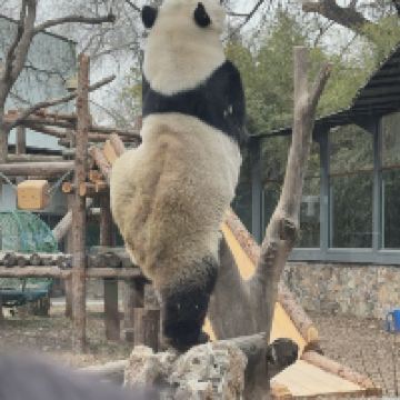 評論圖片 7