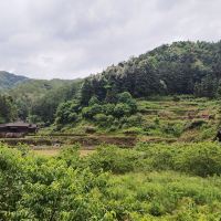 評論圖片 4