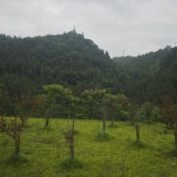 評論圖片 1