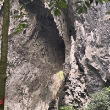 評論圖片 4