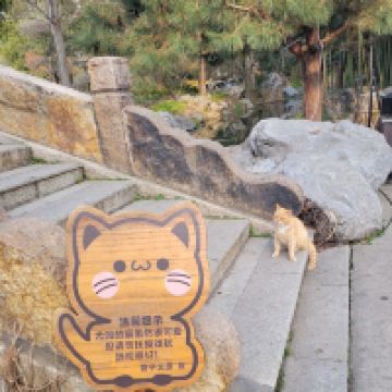 評論圖片 5