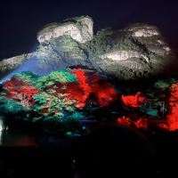 評論圖片 2