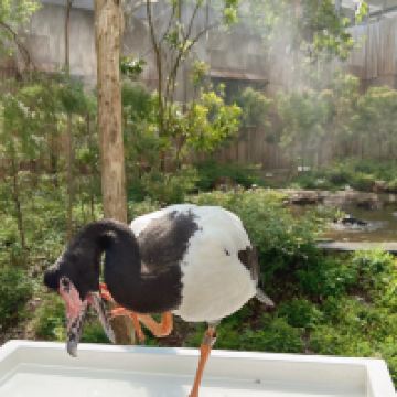 評論圖片 3