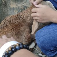 評論圖片 5