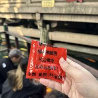 評論圖片 5