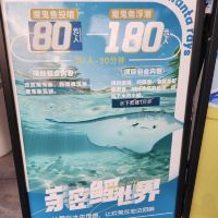 評論圖片 1
