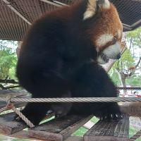 評論圖片 3