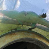 評論圖片 3