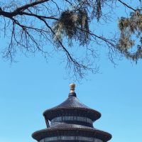 評論圖片 1