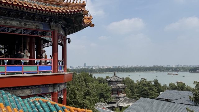 review picture