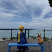 評論圖片 4