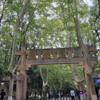 評論圖片 7