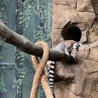 評論圖片 5