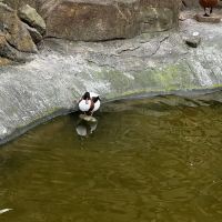評論圖片 3
