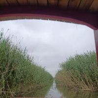 評論圖片 7
