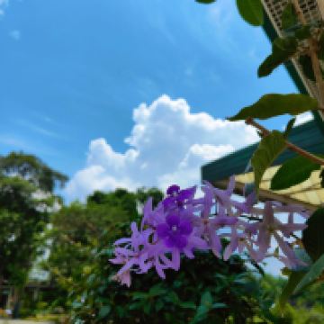 評論圖片 3