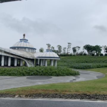 評論圖片 9