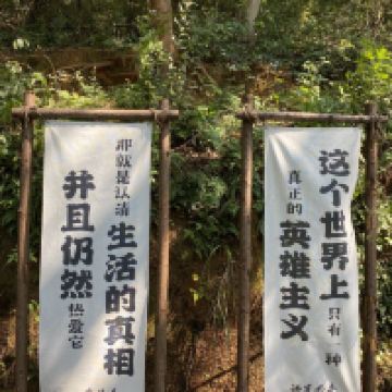 評論圖片 7
