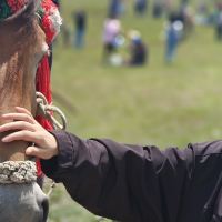 評論圖片 2