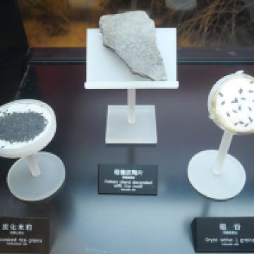 評論圖片 2