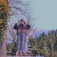 評論圖片 4