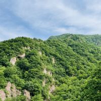 評論圖片 6